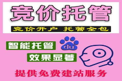 案例解析：SEO与SEM优化助力中小企业发展